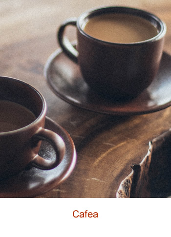 Cafea